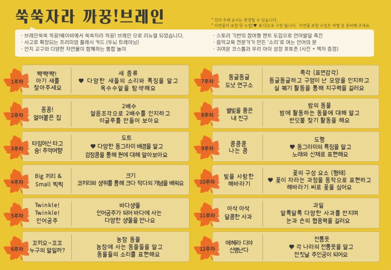 2026 가을학기 커리큘럼_쑥쑥자라 까꿍!브레인_동백.jpg