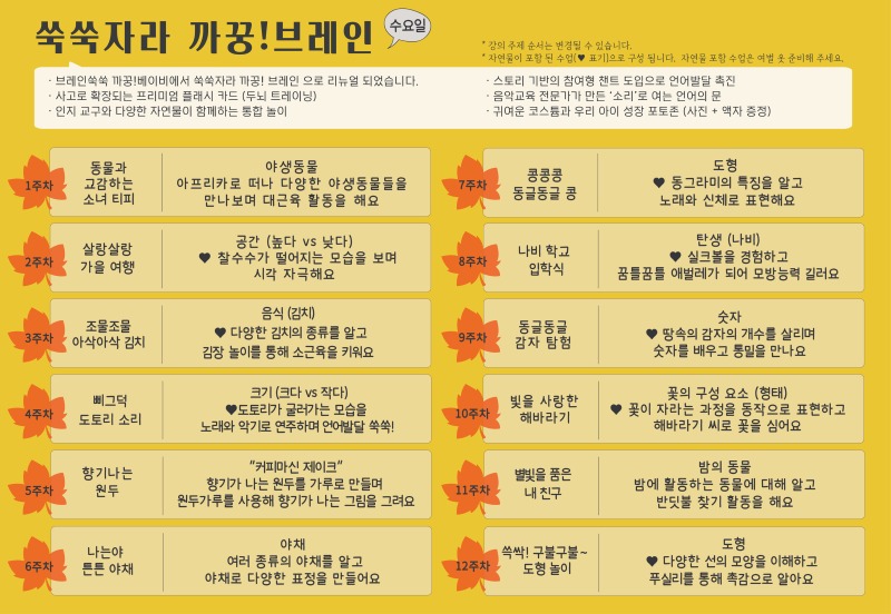 2026 가을학기 커리큘럼_쑥쑥자라 까꿍!브레인_시흥시청(수).jpg