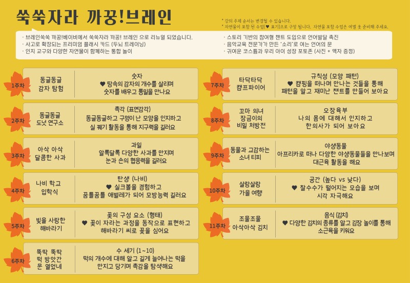2026 가을학기 커리큘럼_쑥쑥자라 까꿍!브레인_역북.jpg
