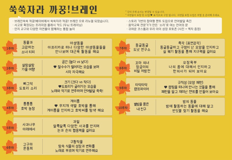 2026 가을학기 커리큘럼_쑥쑥자라 까꿍!브레인_인천서창.jpg